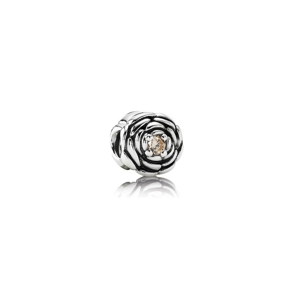 Pandora blooming rose